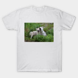 Arctic Wolf Pups T-Shirt